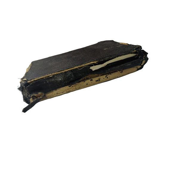 Bundle of Vintage Holy Bibles - Picture 6 of 7